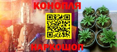 стаф Малгобек