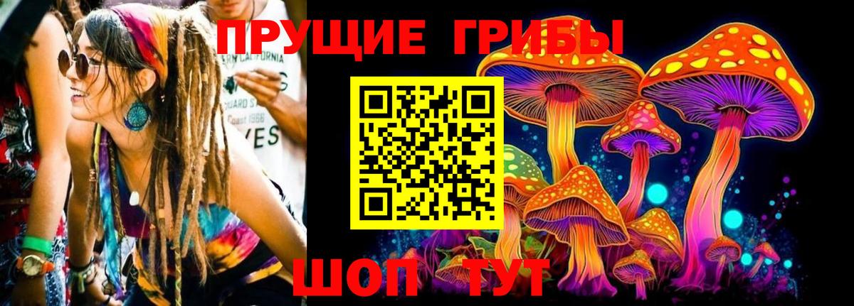 Галлюциногенные грибы прущие грибы Урай