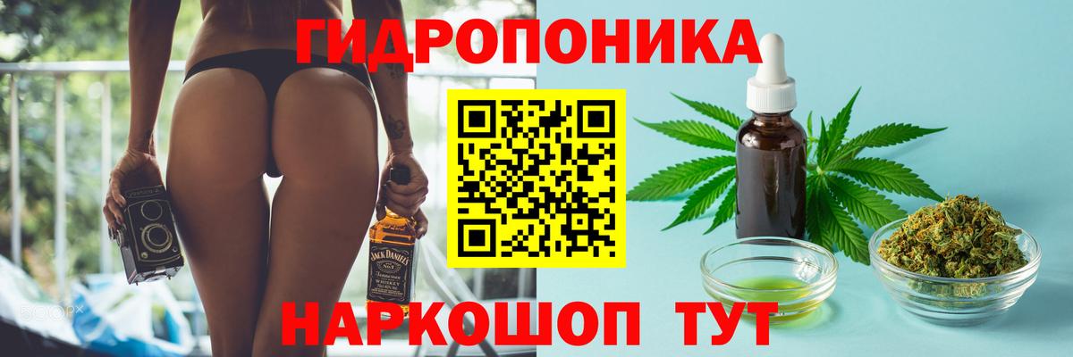 Бошки марихуана Amnesia  Вход с VPN  Урай  Канабис White Widow  Марихуана сатива 